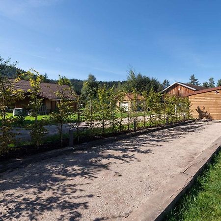 ג'רארדמר Chalet Du Bien-Etre 15P. Piscine,Spa, Hammam,Petanque,Basket מראה חיצוני תמונה